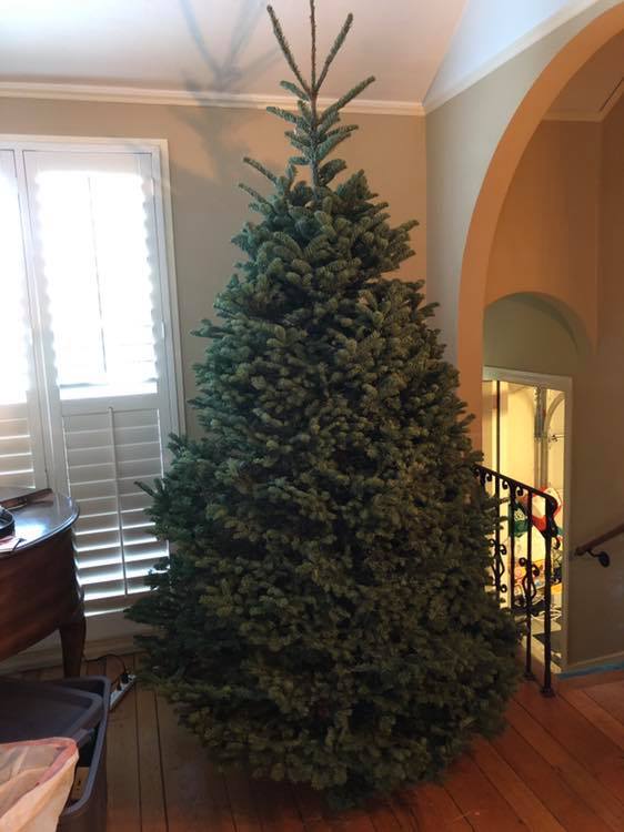 47423822_10215076272035077_9112624548485791744_n